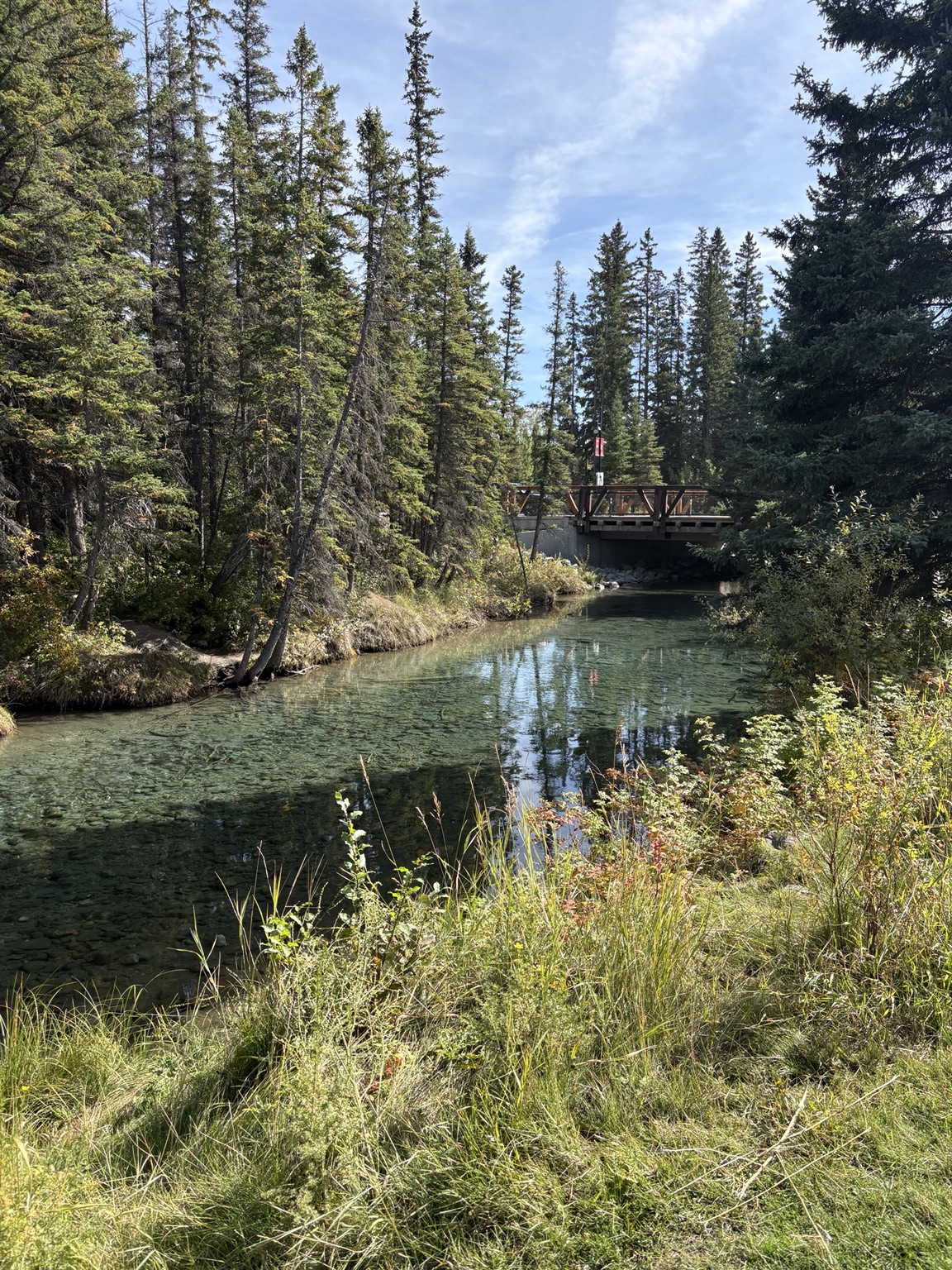 Creek and wooded walking path near BergTraum